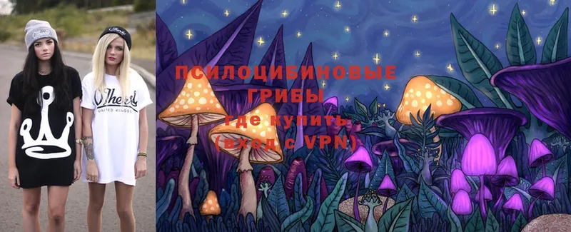 даркнет сайт  Сосновка  Галлюциногенные грибы Psilocybine cubensis 